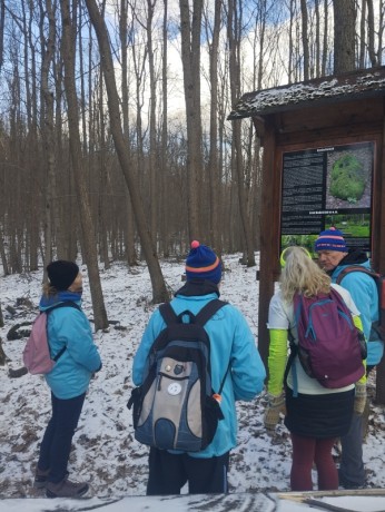 202502039 Raslavkameň